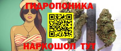 каннабис Гусев