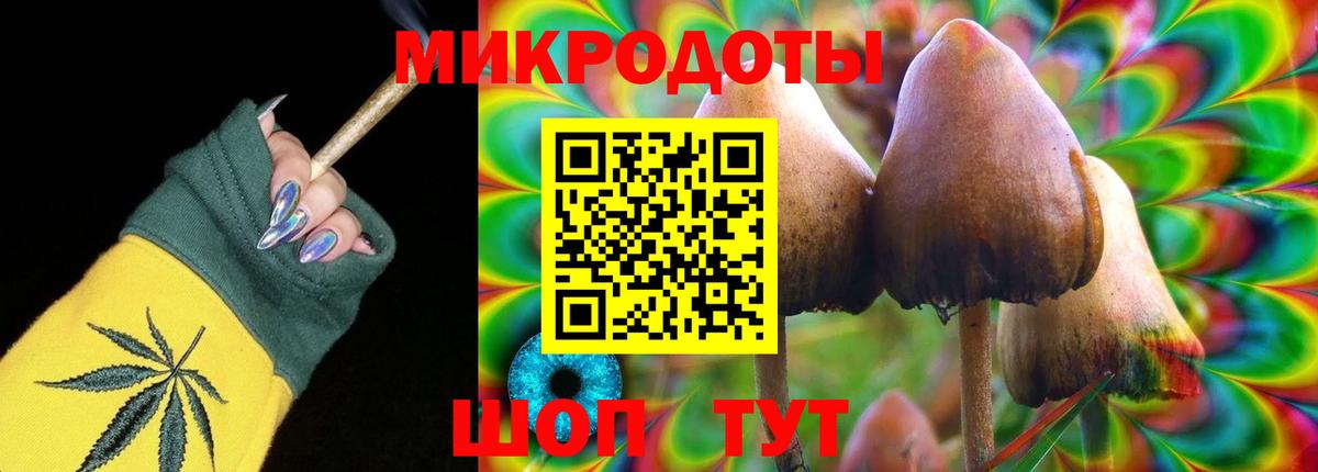 Псилоцибиновые грибы Cubensis Нефтеюганск